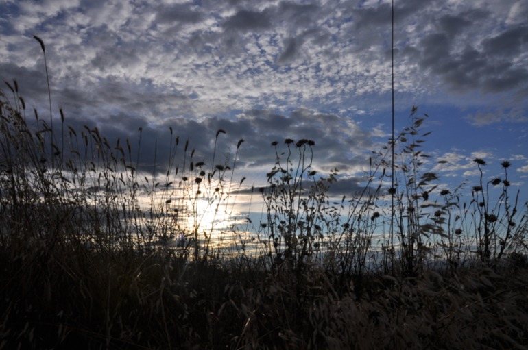 Черноморец