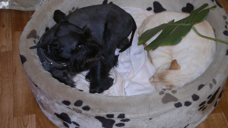 Дома стало холодать