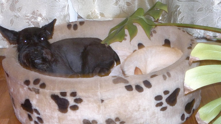 Дома стало холодать