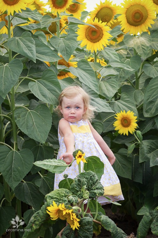 eebfc002547ecd3c38eb2497c0ddbbf6.jpg