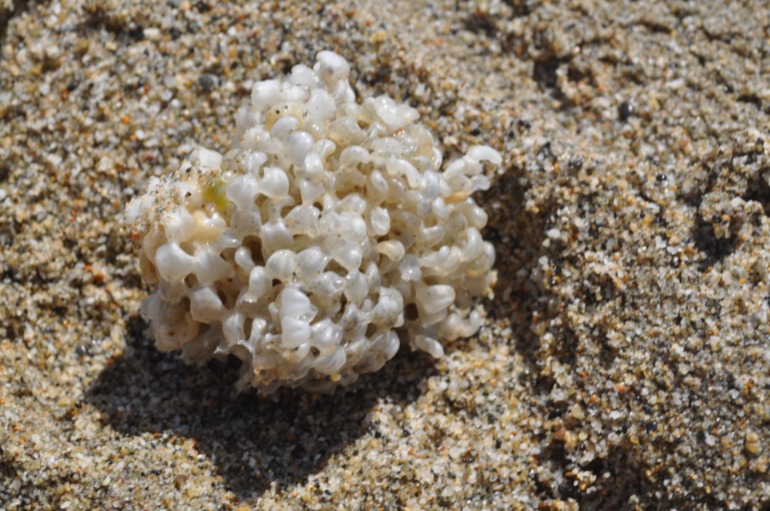 Отдых в Турции отель Mirabell сентябрь 2013