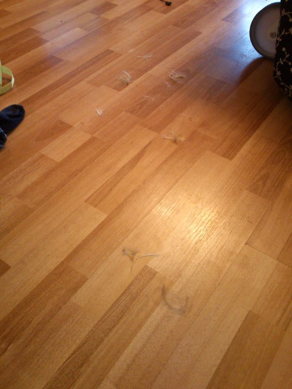 Пару юморесок из жизни