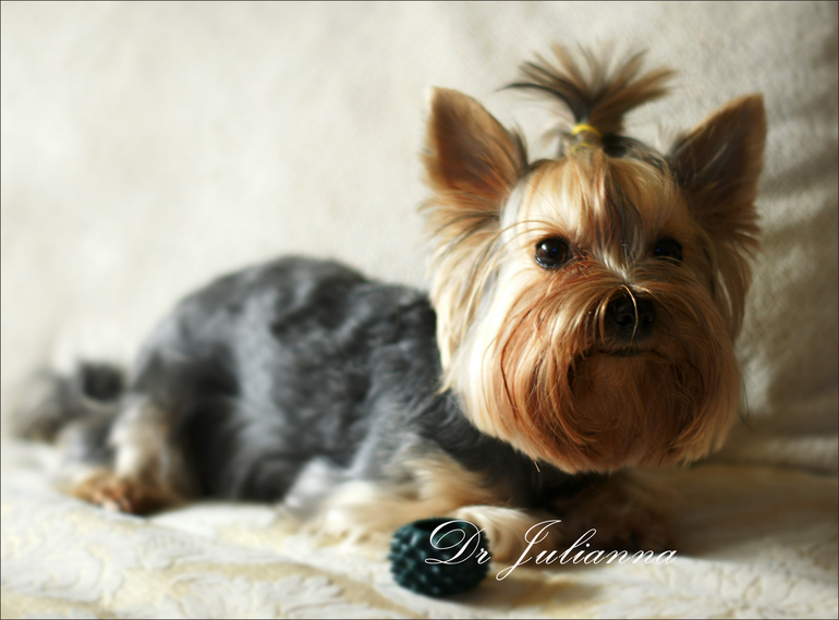 Наш ураган - Лялька!