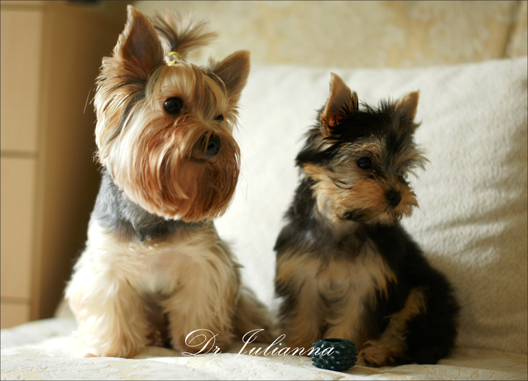 Наш ураган - Лялька!