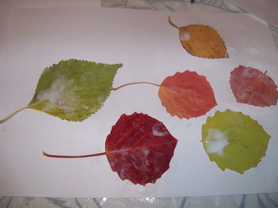 ОМ. 22 сентября.