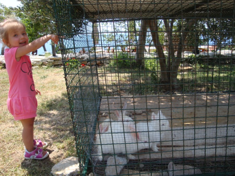 Чероногория. Лето 2013.