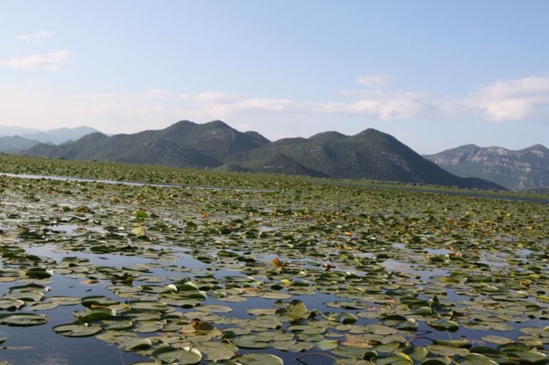 Чероногория. Лето 2013.