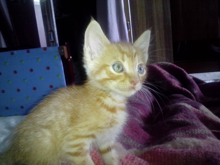 не могу не рассказать