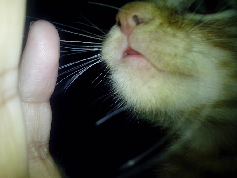 не могу не рассказать