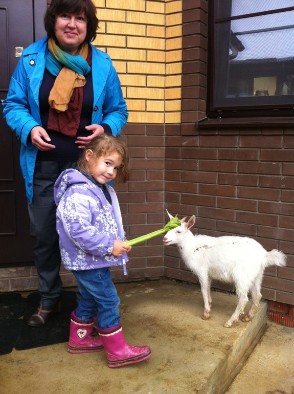 Жил-был у бабушки беленький козлик...