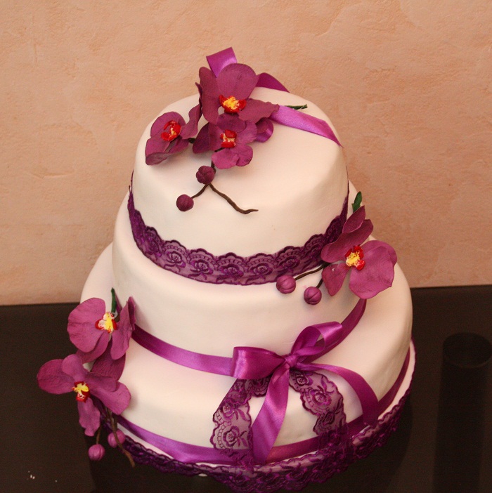 Всеми любимые Орхидеи