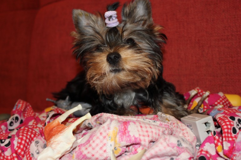 Фотки нашей малипуси)