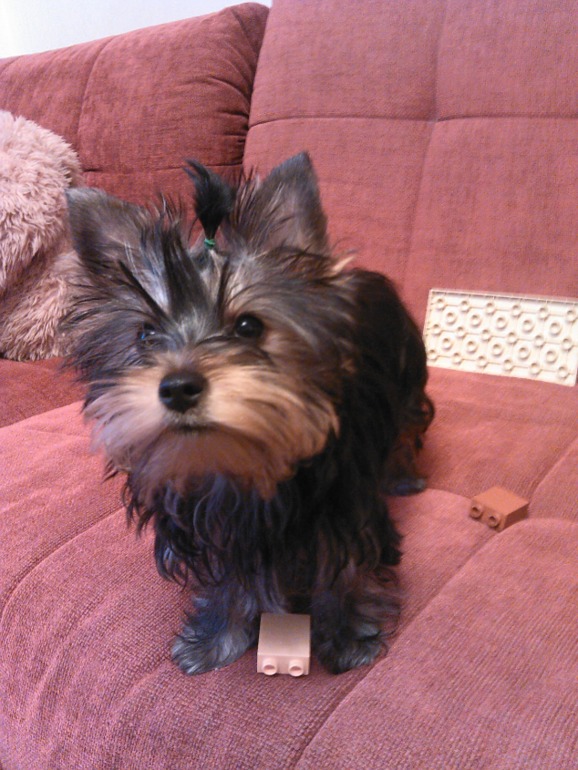 Фотки нашей малипуси)