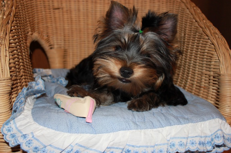 Фотки нашей малипуси)