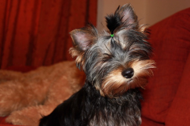 Фотки нашей малипуси)