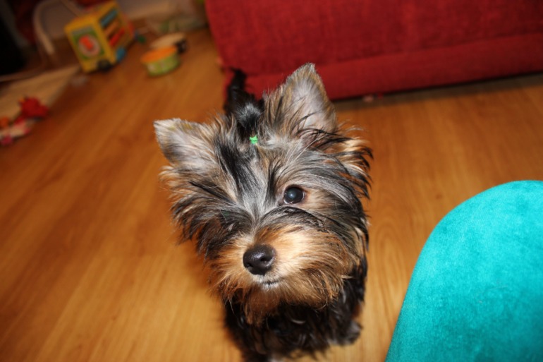 Фотки нашей малипуси)