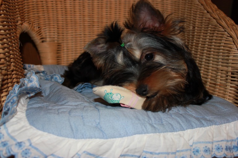 Фотки нашей малипуси)