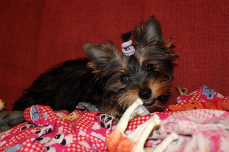 Фотки нашей малипуси)