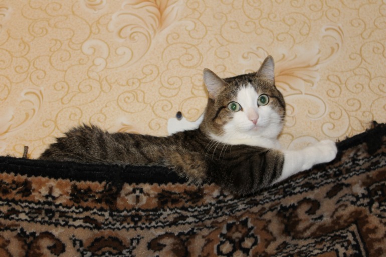 Переживания....