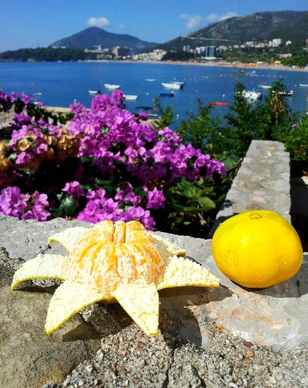 черногорские погоды и мандарины)