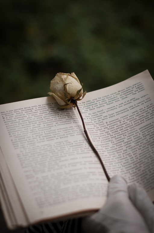 По следам Джейн Эйр.....