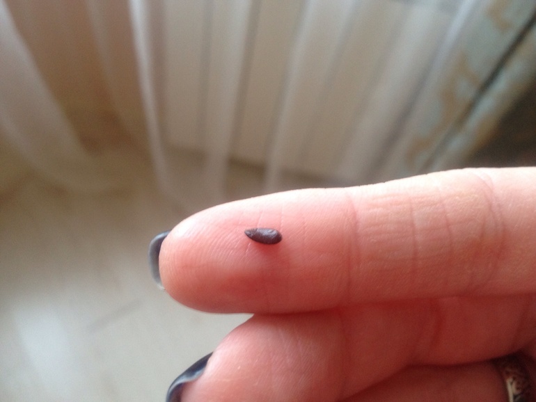 Семена в котлетах