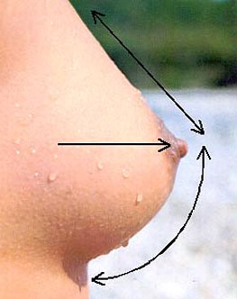 Упражнения для груди