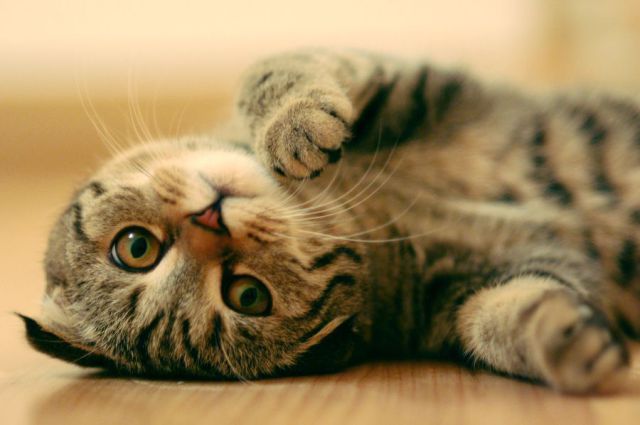 среда,18сентября