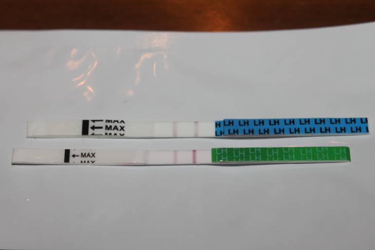 2377fdc19fea1e65fed45a45514dd02b.jpg