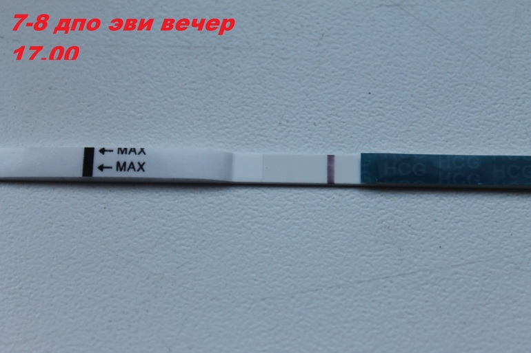 6e8c0e8b6d73176ba89e7539d6cd6f01.jpg