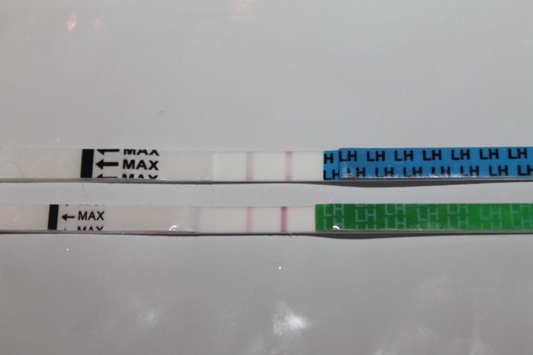 fe8a8db82249c95f6170d62de008abd0.jpg