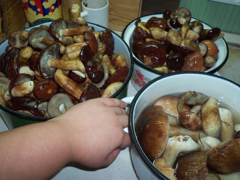 И я туда же))