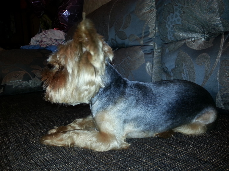 Огромное спасибо!