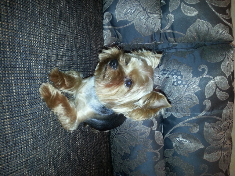 Огромное спасибо!