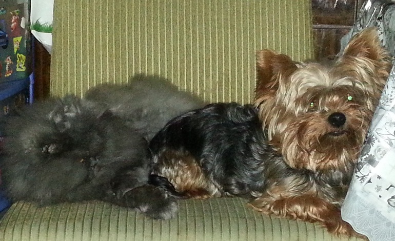 Огромное спасибо!