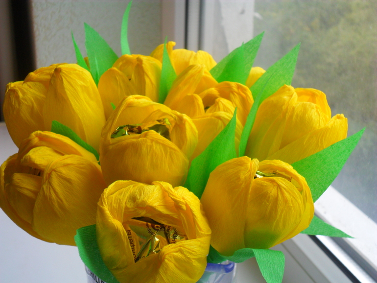 Наши тюльпаши))