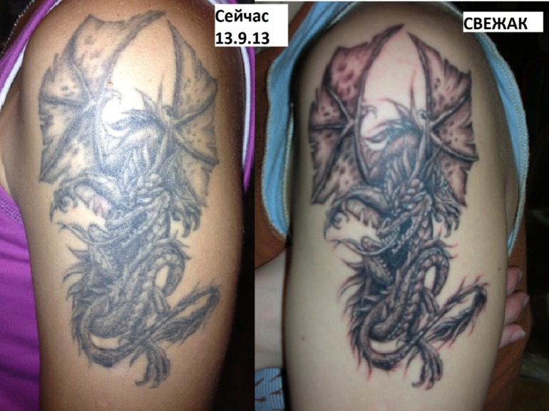 Хвастульки