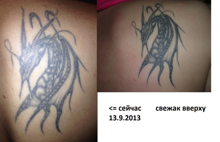 Хвастульки