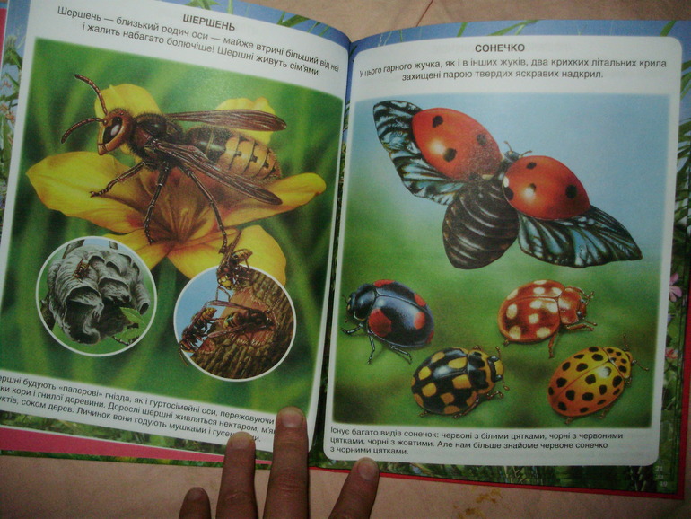 Наши книги с 11 мес. до 1,3 г. (большое количество книг и фото)