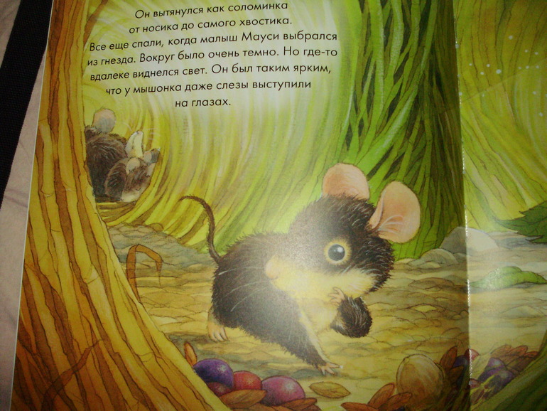 Наши книги с 11 мес. до 1,3 г. (большое количество книг и фото)