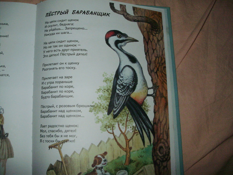 Наши книги с 11 мес. до 1,3 г. (большое количество книг и фото)