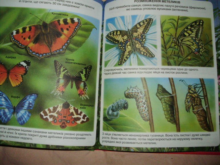 Наши книги с 11 мес. до 1,3 г. (большое количество книг и фото)