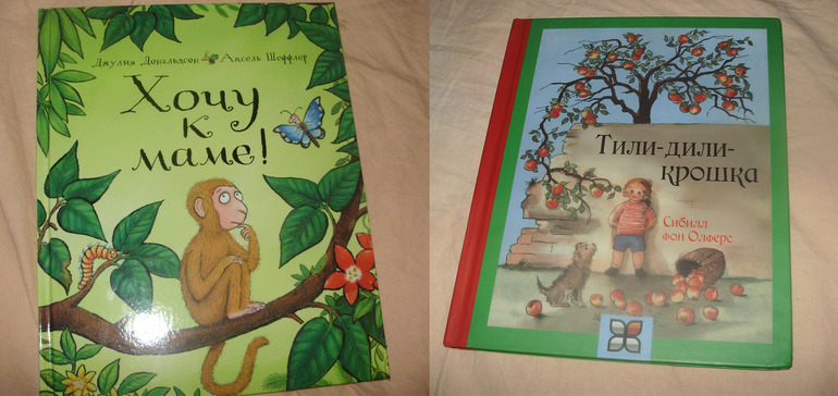 Наши книги с 11 мес. до 1,3 г. (большое количество книг и фото)