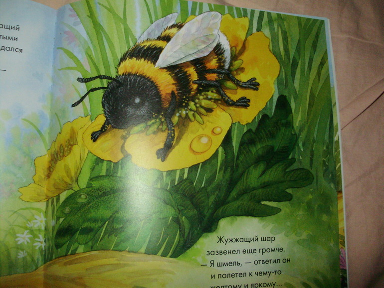 Наши книги с 11 мес. до 1,3 г. (большое количество книг и фото)