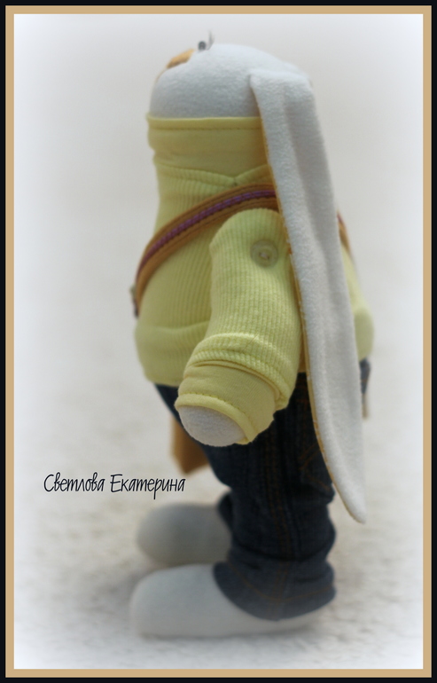 Солнечный зай