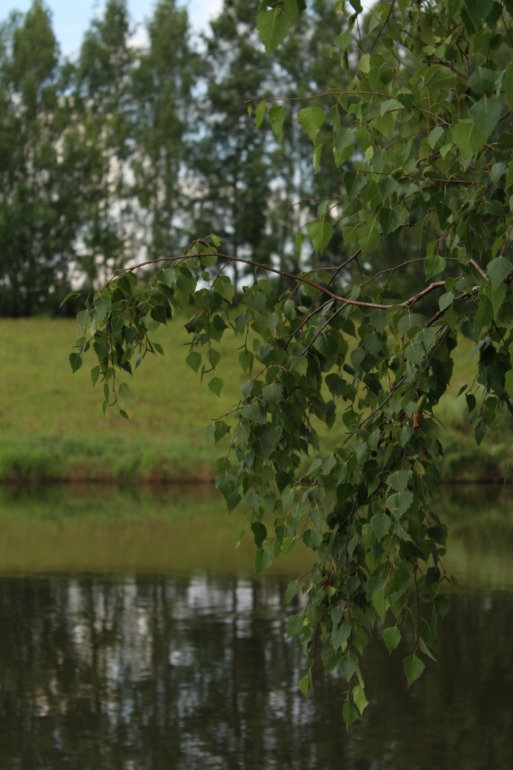 На природу в первый раз