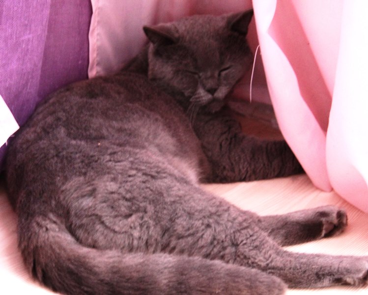 Прибавление в нашем семействе.