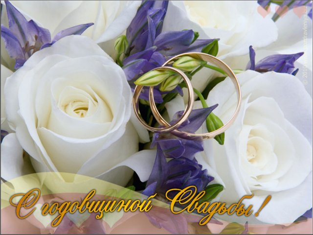 6aef9f7769ce895e19fcb5bd43b60369.jpg