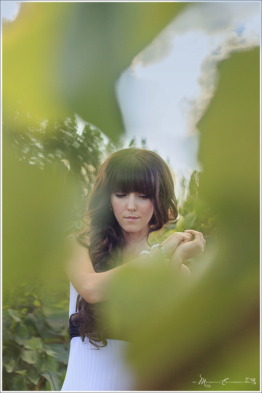 Виноградники Краснодарского края