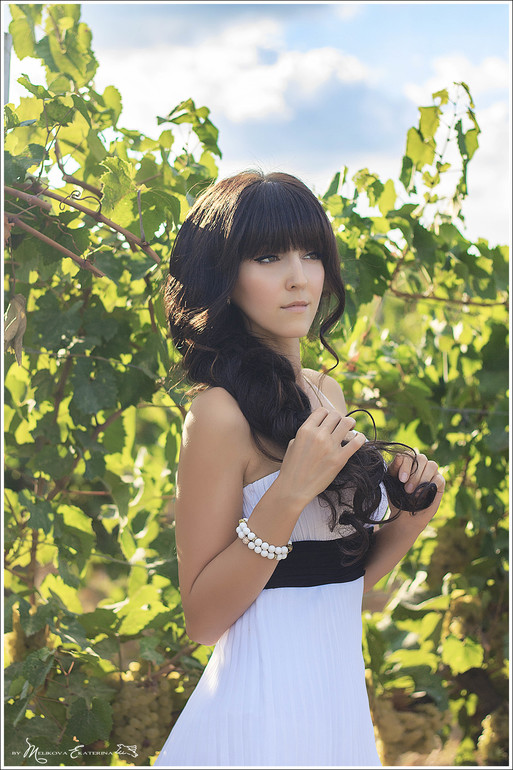 Виноградники Краснодарского края